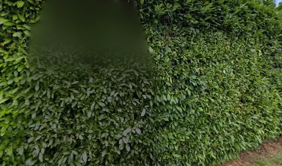 Servision, Service de Support Informatique à Torigny-les-Villes