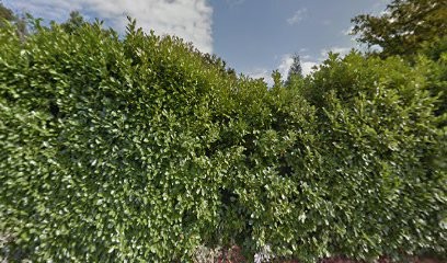 Lepine Alain CA2ID, Service de Support Informatique à Parcé-sur-Sarthe