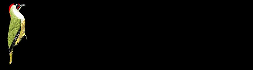 InformaPic, Service de Support Informatique à Saint-Martin-la-Méanne