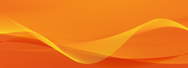 MLBI, Service de Support Informatique à Apremont