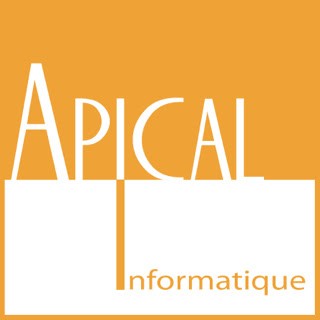 Apical Informatique, Service de Support Informatique à La Tour-de-Salvagny