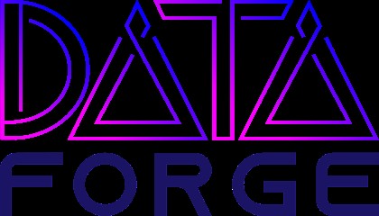 Data Forge, Service de Support Informatique à Hochfelden