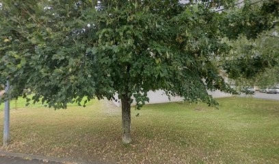 Spécialiste en solutions informatiques et réseaux pour les établissements scolaires, administrations et entreprises., Service de Support Informatique à Fontoy