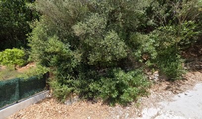 Systeme Advance, Service de Support Informatique à Solliès-Toucas