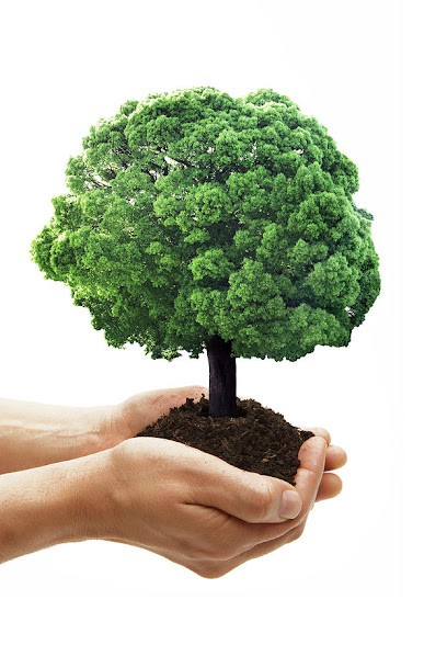 B2M Innovation, Service de Support Informatique à Beauvoir-de-Marc