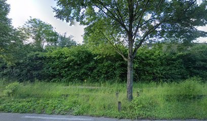 BDO Software & Services, Service de Support Informatique à Saint-Priest