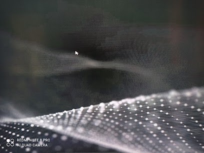 microwaves informatique, Service de Support Informatique à Angles