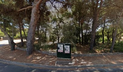 SASU Corsica TIC, Service de Support Informatique à Zonza