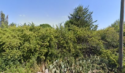 Espace Thau Admin (bureau Cournonterral), Service de Support Informatique à Cournonterral