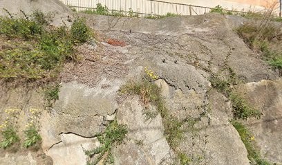 Ross Informatique, Service de Réparation Informatique à Contes