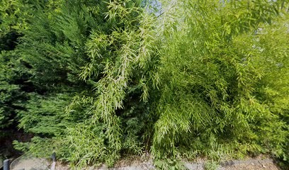 Mappytom - Siège Social, Service de Support Informatique à Saint-Martin-d'Hères