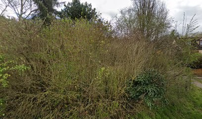 SOFRINFO, Service de Support Informatique à Beynes