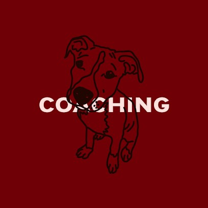 pitbull coaching, Service de Réparation Informatique à Marseille 03