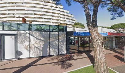 Aec, Service de Support Informatique à Villeneuve-Loubet