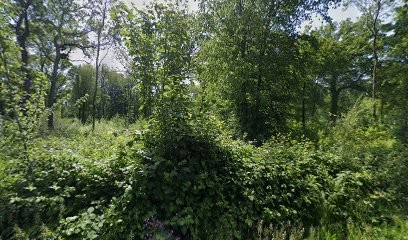 L'Informaticien, Service de Support Informatique à Saint-Denis-le-Thiboult