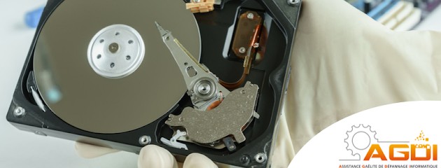 AGDI, Service de Support Informatique à Gaël