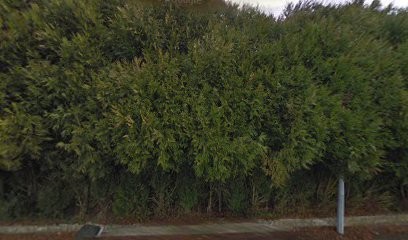 MicroSaulnois, Service de Réparation Informatique à Château-Salins