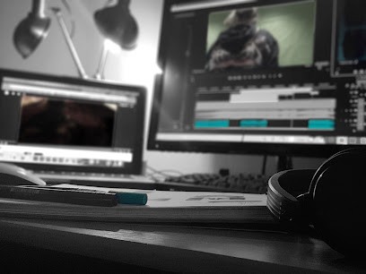 Nexus Digital, Service de Support Informatique à Belfort
