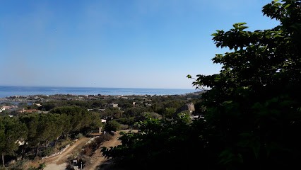 EBM - CEIT, Service de Support Informatique à Corbara