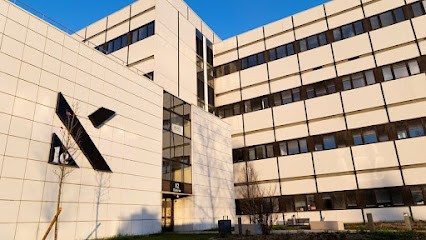 Algolys, Service de Support Informatique à Fragnes-La Loyère