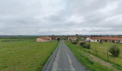 Schum Informatique, Service de Réparation Informatique à Bas-et-Lezat