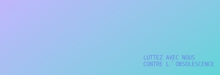 CTRL/Z, Service de Support Informatique à Lyon 01