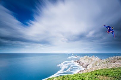 PORTALEO SAS, Service de Support Informatique à Bénodet