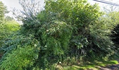 Aven informatique, Service de Support Informatique à Pont-Aven