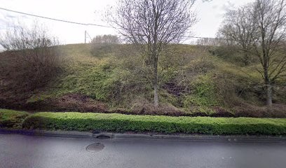 Okto Campus, Service de Support Informatique à Hem