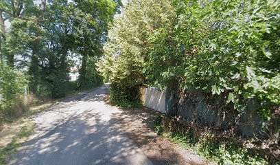 Informatique, Service de Support Informatique à Rillieux-la-Pape