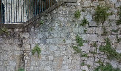 DBD Esport | BSH, Service de Support Informatique à Lectoure