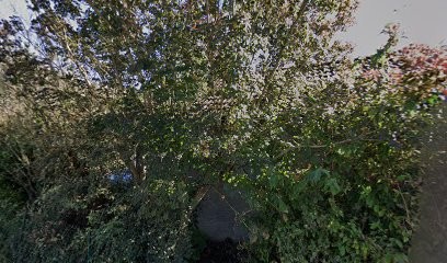 Ludomatique Informatique, Service de Réparation Informatique à Rambervillers