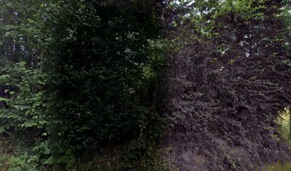 Diadomi, Service de Réparation Informatique à Valorbiquet