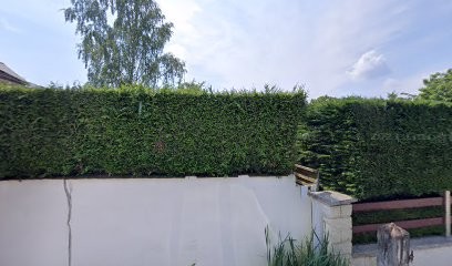 Azoulay Audrey, Service de Réparation Informatique à Serris