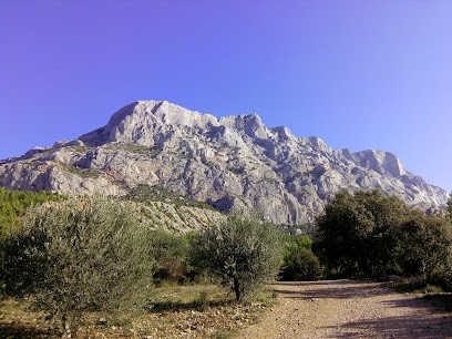 TOL S.A., Service de Support Informatique à Fuveau