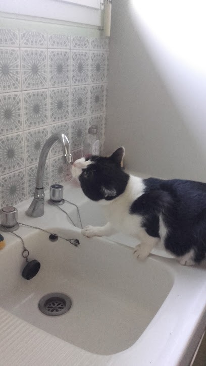 rekover, Service de Réparation Informatique à Juilley