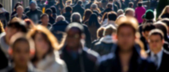 SVEC Marc : MSV Ingénierie, Service de Support Informatique à Fréland