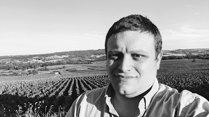 DIS21 Informatique Dijon et agglomeration (13,5€/h), Service de Support Informatique à Santenay