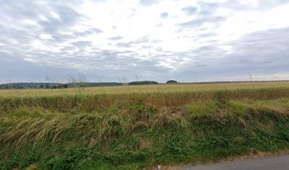 Multimédia Home Services, Service de Support Informatique à Fierville-Bray