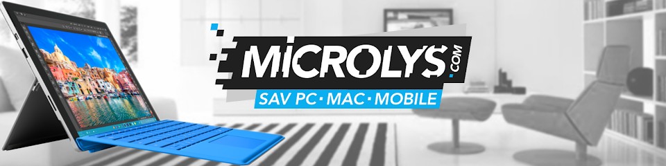 Microlys.com, Service de Réparation Informatique à Lyon 08