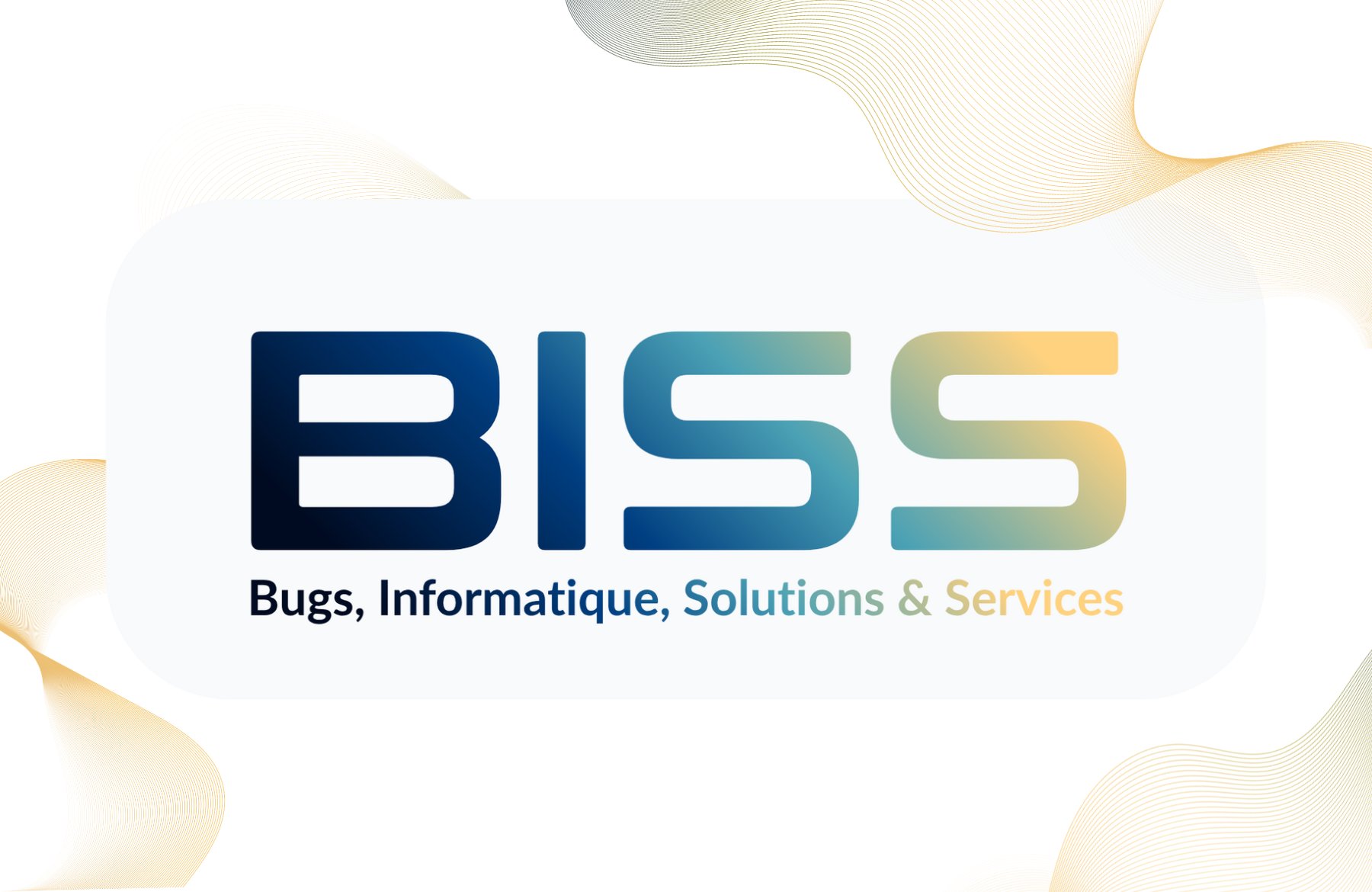 Biss - Bugs, Informatique, Solutions & Services Support Et Services Informatiques à Labarthe-Inard