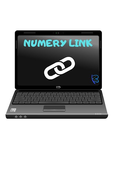 Numery Link, Service de Support Informatique à Arcey