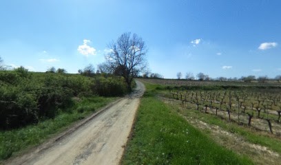 Krono Service Informatique - KSI04, Service de Support Informatique à Pierrevert