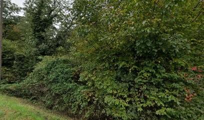 PHOENIX Informatique, Service de Réparation Informatique à Perrignier