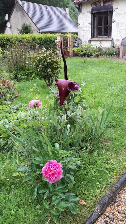 Syrek Robert, Service de Support Informatique à Septvaux