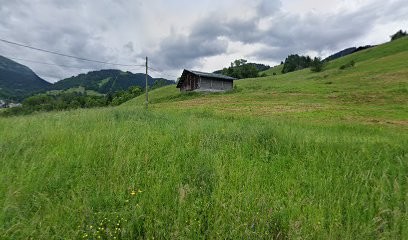 Viallet Data Processing, Service de Réparation Informatique à Beaufort