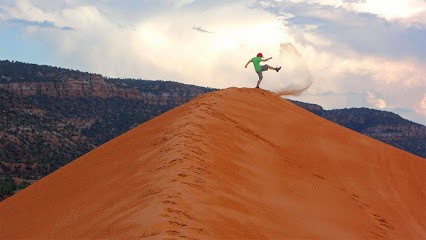 Timberlee, Service de Support Informatique à Lyon 01