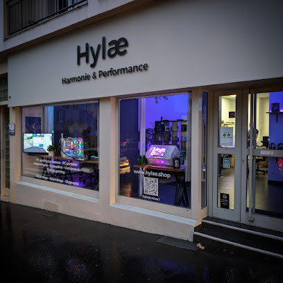 Hylæ - Harmonie & Performance Magasin D'informatique à Besançon