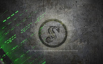 SAFETY PC 44, Service de Réparation Informatique à Fay-de-Bretagne