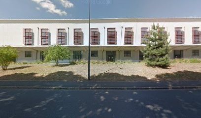 C2iP Mâcon, Service de Support Informatique à Mâcon